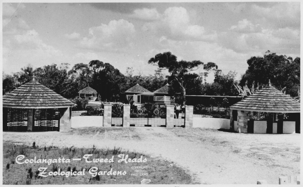 Coolangatta - Tweed Heads Zoological Gardens - 1000x618.png