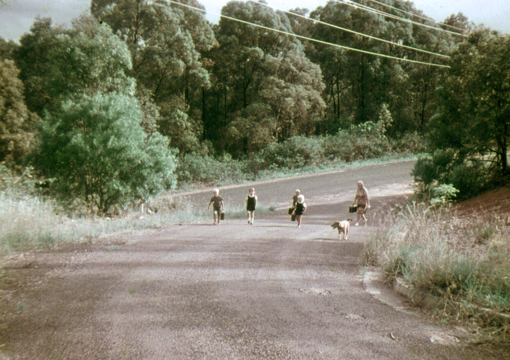 Panorama Drive, Tweed Heads West - circa 1970 - 1 - 1000x707.jpg