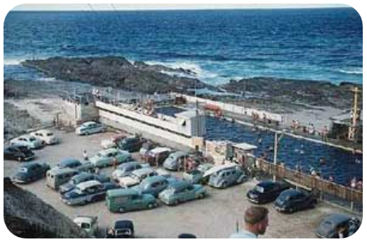 Snapper Rocks - Pet Porpoise Pool - 1 - 519x342.png