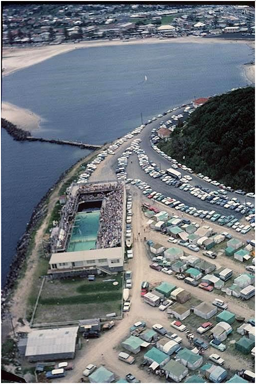 Tweed Heads - Pet Porpoise Pool - 1 - 516x772.png