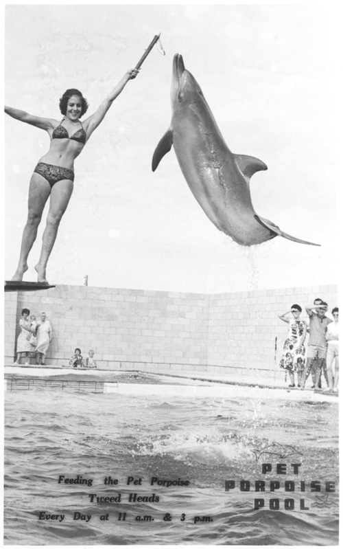 Tweed Heads - Pet Porpoise Pool - 2 - 500x799.png