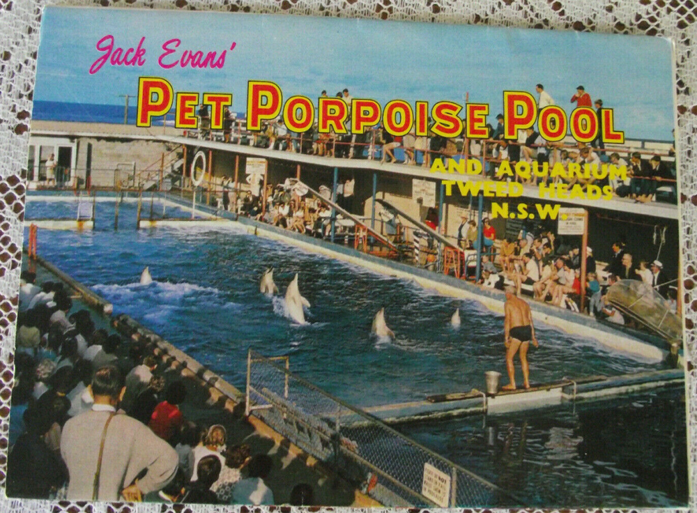 Tweed Heads - Pet Porpoise Pool - 3 - 1000x736.png