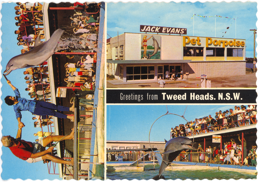 Tweed Heads - Pet Porpoise Pool - Postcard - Murray Views W134C - 1000x705.png