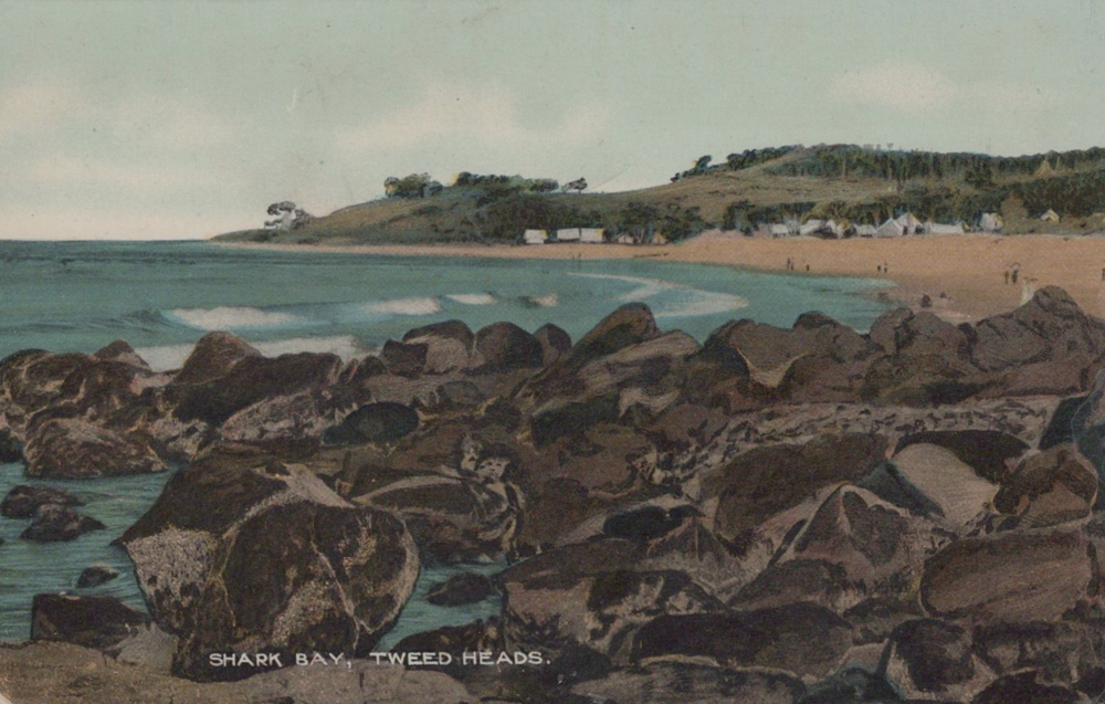 Postcard - The NINNESS Series, No. 2438. - Shark Bay, Tweed Heads - 1000x637.png