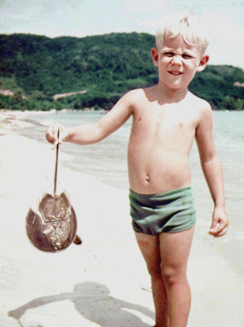 Penang - Horseshoe crab.jpg